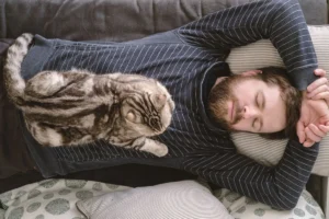 Arti Mimpi Kucing