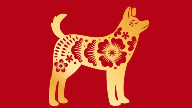 Karakter shio Anjing